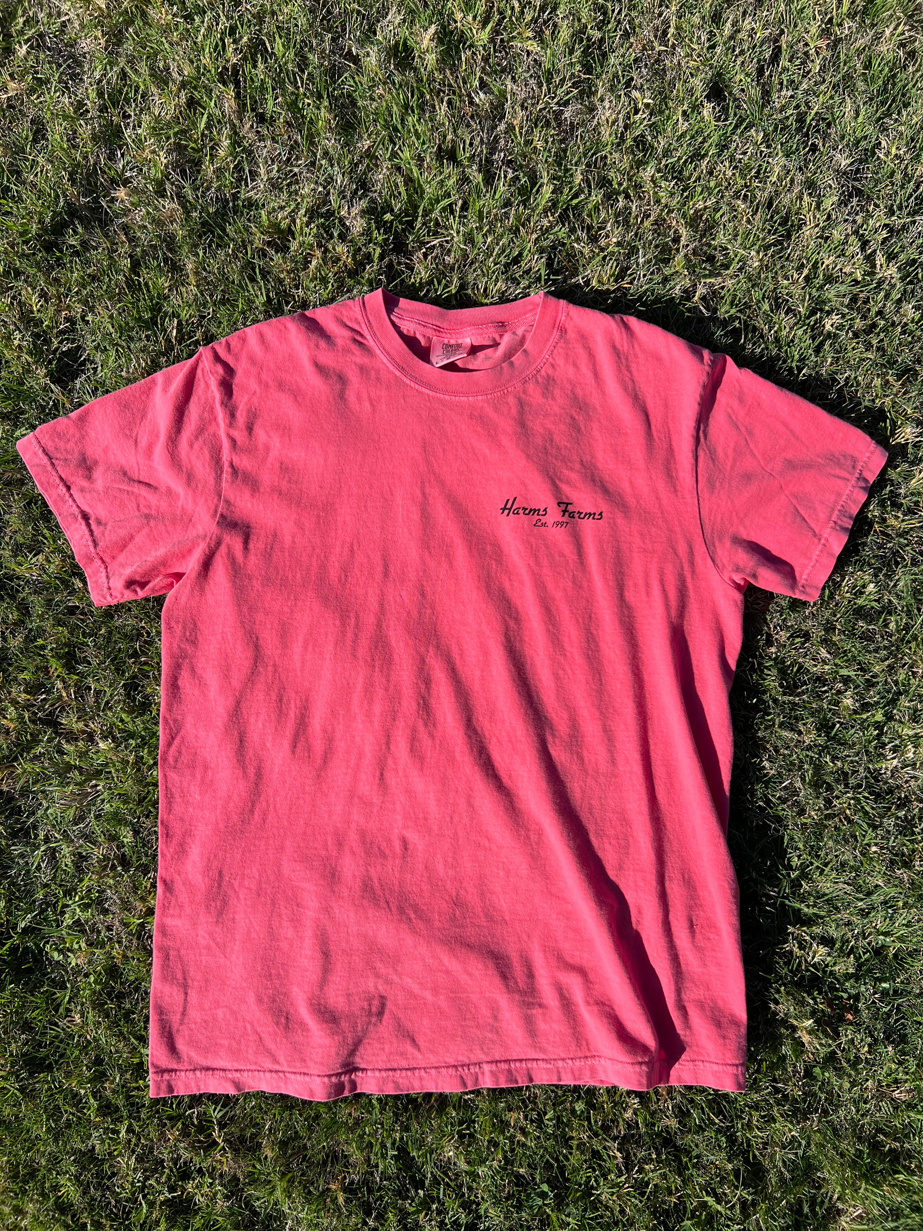 Established Tee