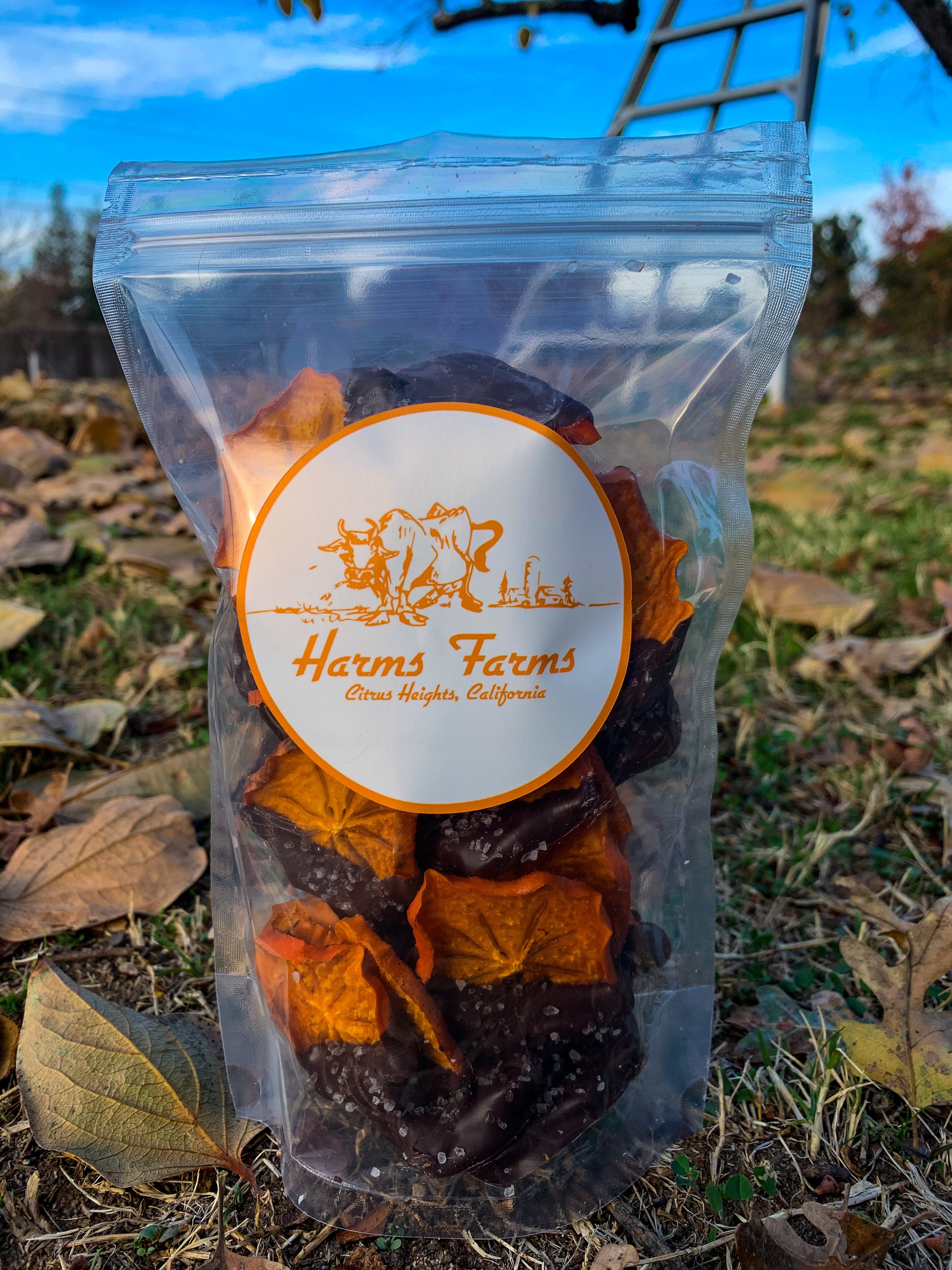 Sea Salt and Dark Chocolate Dipped Dried Persimmons (1/2 pound)
